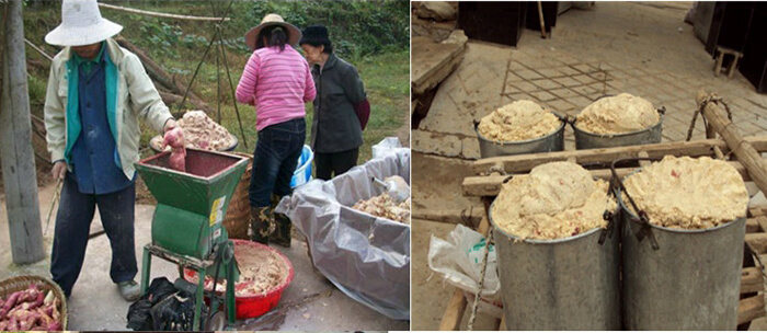 紅薯淀粉制作磨粉展示圖